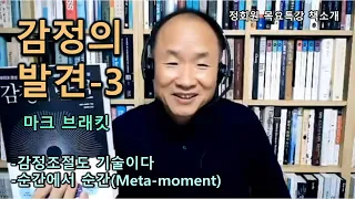 감정의 발견(3)-마크 브래킷-감정조절도 기술이다-순간에서 순간(Meta-moment)