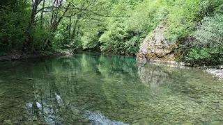 Neretva - Ulog 2020