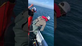 Halibut Fishing Homer Alaska.  How to get a halibut 100lbs or more in the boat safely.