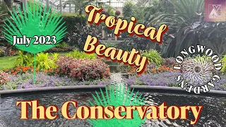 Tropical Beauty Conservatory July 2023 Update Longwood Gardens 4K #botanicalgarden #gardens