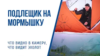 Ловля плотвы и подлещика на мормышку. Подводные съемки, много поклевок