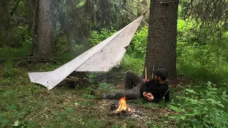 Solo Bushcraft Overnighter - Tarp Shelter, Chaga Tea, Campfire Cooking, Rain, River Camping