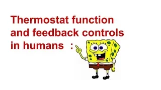 Homeostatic thermostat function in human body :)