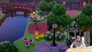 a tour of my five star animal crossing new horizons island