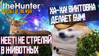 Вкратце про theHunter: Call of the Wild