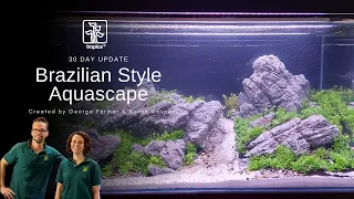 Brazilian style Aquascape | How to trim, fertilize and do water changes | 30 days after planting