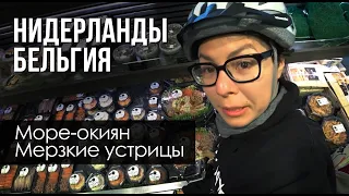 #3 Путешествие - Нидерланды и Бельгия. Какие устрицы на вкус, невероятные виды на море.