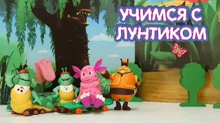 Обманули 😋 Учимся с Лунтиком 😋 Новая серия