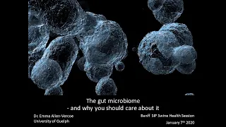 The Gut Microbiome, and Why You Should Care About It | Emma Allen Vercoe