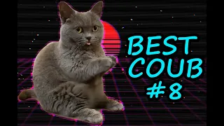 🔥BEST COUB #8 | BEST CUBE | BEST COUB COMPILATION | NOVEMBER 2019 | SPICY COUB🔥