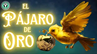 El PÁJARO de ORO | Un CUENTO con VALORES de los Hermanos GRIMM | Voz Humana | Moninna CUENTOS.