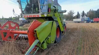 Claas Dominator 48 havre 2023