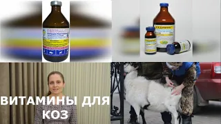 Чем поддержать организм котной козы.