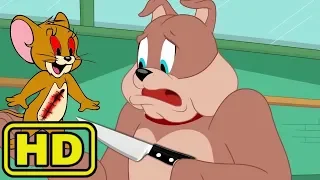 Tom y Jerry en Español | The Plan to Gets Rid Of Tom + Fraidy Cat | Dibujos animados para niños 201