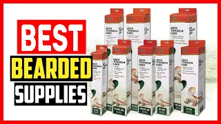 ✅The 5 Best Bearded Dragon Supplies of 2023