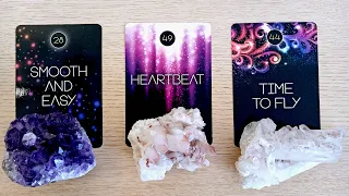 💘😍How Are They FEELING About YOU Right NOW? 🔮🐈 PICK A CARD Timeless Love Tarot