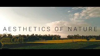 Aesthetics of Nature | Lofi Music | Calm | Peaceful Music | Nature