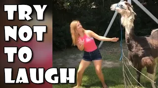 Try Not To Laugh - Funniest Fails Compilation March 2020 | FunToo