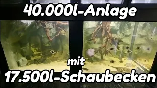 40.000l-Aquarium-Anlage mit 17.500l-Schaubecken | Zu Besuch bei Eike Weber