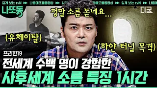 [#프리한19] (1시간) 환생이 아니라면 설명할 수 없는 기이한 현상들! 사후세계는 정말로 존재하는 것일까?🤔 | #나중에또볼동영상