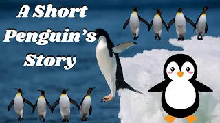 A Short Penguin's Story||English Story For Kids |Kids Story Land|