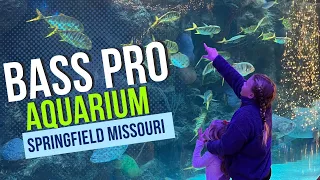 Wonders Of Wildlife Aquarium Bass Pro Springfield Missouri