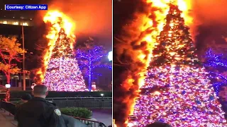 Fox News Christmas tree set on fire in NYC