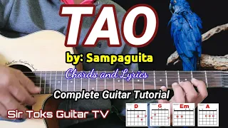 TAO by Sampaguita (Tulad ng Isang Ibon) Complete Guitar Tutorial Accurate