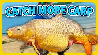 5 carp fishing tips to help you find and catch more carp