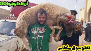 تفتح سوق أربعاء مكناس صوريا وسولت عيادة بشحال شراو🐏⁉️ 2024/06/05