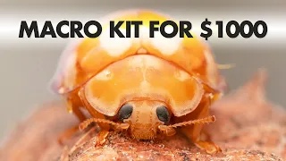The Best COMPLETE Insect Macro Photography Kit under $1000