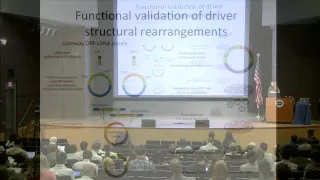 The Landscape of Somatic Structural Rearrangements in RAS Pathway Genes - Angeliki Pantazi