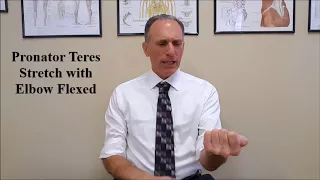 Pronator Teres Stretch: Elbow in Flexion