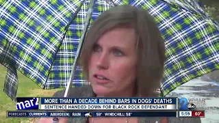 More than a decade behind bars in dogs' deaths