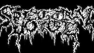 Spectral Voice (US) - Necrotic Doom (Demo) 2015.avi