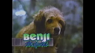 Siskel & Ebert / Benji the Hunted / 1987