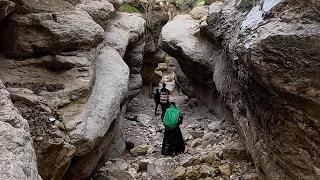 Picking herbal medicines in the mountains by a mother and her children, Iran 2023