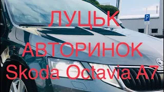 Луцьк авторинок Skoda Octavia A7