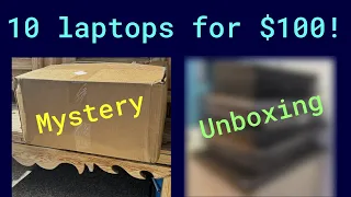 I bought 10 laptops for $100