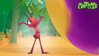 Sticky Sweet | ANTIKS | Preschool Learning | Moonbug Tiny TV