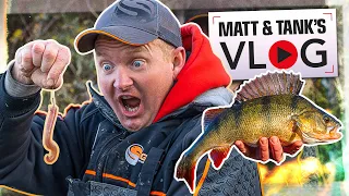 Hunting GIANT Perch | Matt and Tank VLOG #012
