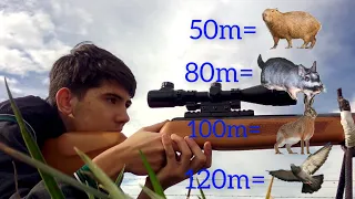 prueba de tiro a larga distancia con GR1600!!! los distintos animales que podes cazar.