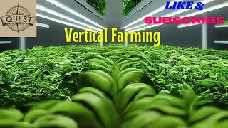 The Future Vertical Farming #trending #viral #science #agriculture