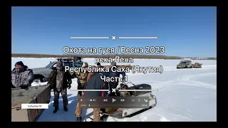 Охота на гуся весна 2023 / Goose hunting spring in Sakha Yakutia / Охота без преувеличений / Часть 1