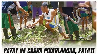 LALAKI, BUMULAGTA MATAPOS PAGLARUAN ANG PATAY NA KING COBRA?!