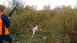 Zoey's First bird hunt 2019 Ohio Youth Pheasant