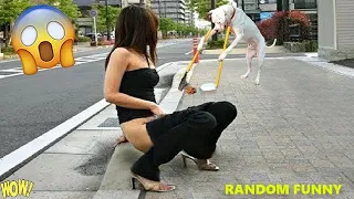 Random Funny Videos |Best Fails of the Week 2023 | Cute People And Animals Doing Funny Things P