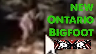 ]NEW!] Northern Ontario Bigfoot - Top Four Strangest Finds (ThinkerThunker)