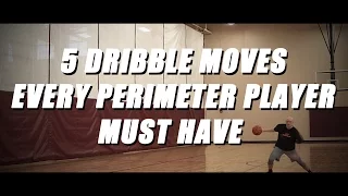 FREE Basketball Drills - 5 Dribble Moves Every Perimeter Player Must Have