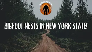 SO EP:129 Bigfoot Nests in New York!